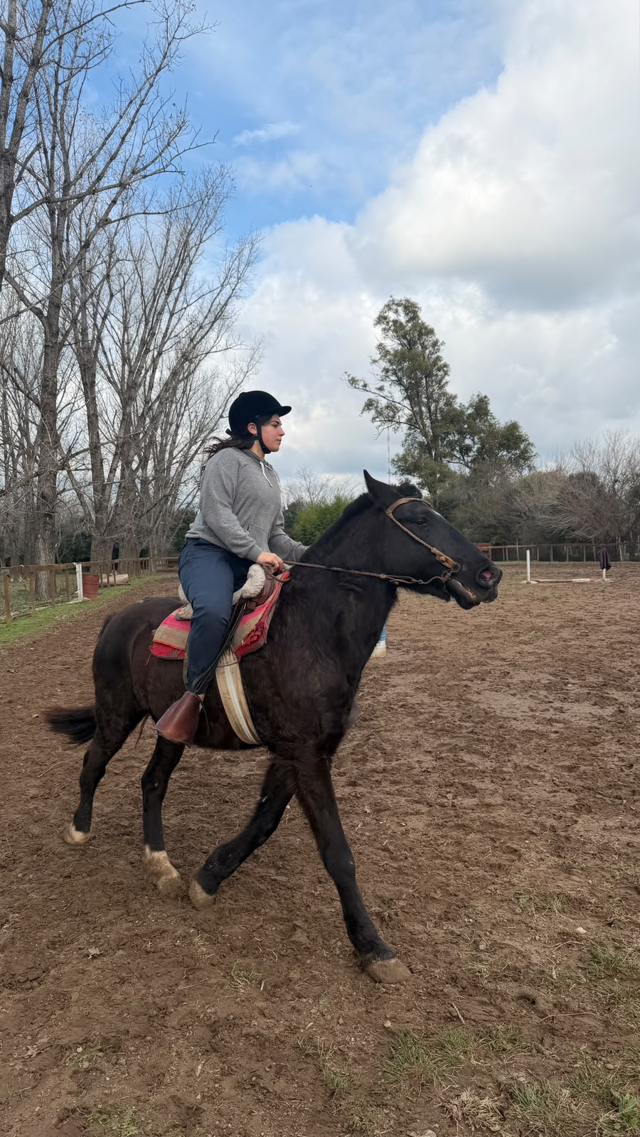 Estrella montado en la pista del haras