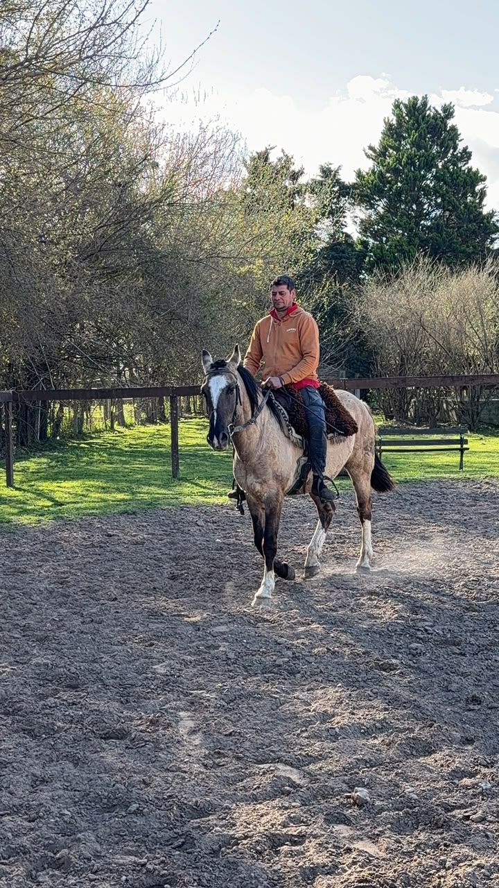 Jinete avanzando en la pista de equitación