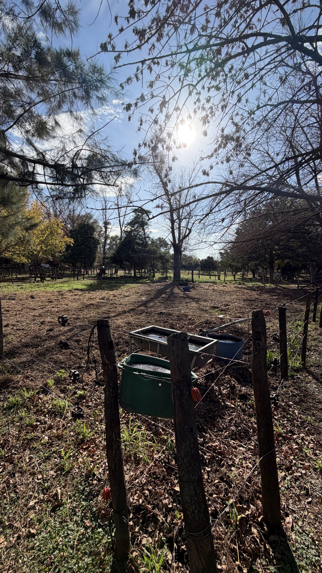 Piquete y corral del Haras El Milenium